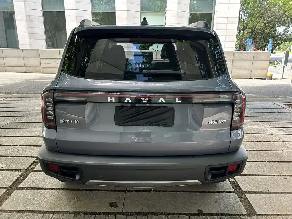 Haval Big Dog 2024 из CN, фото 2