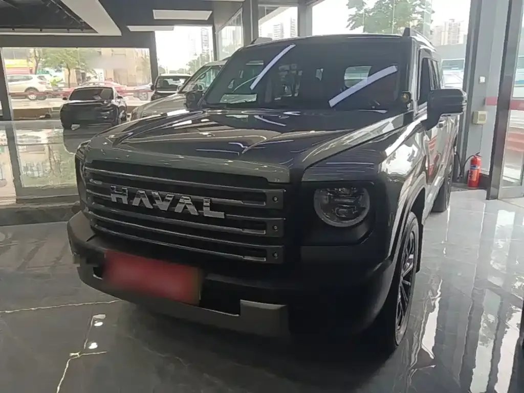 Haval Menglong New Energy 2024 из CN, фото 10