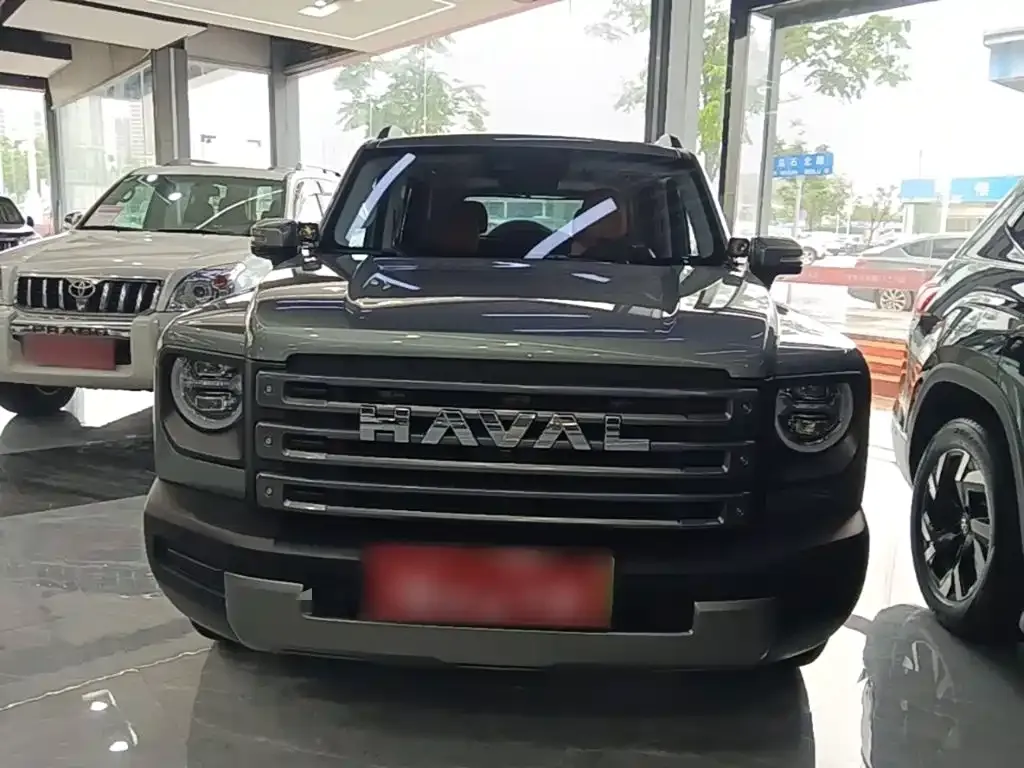 Haval Menglong New Energy 2024 из CN, фото 8