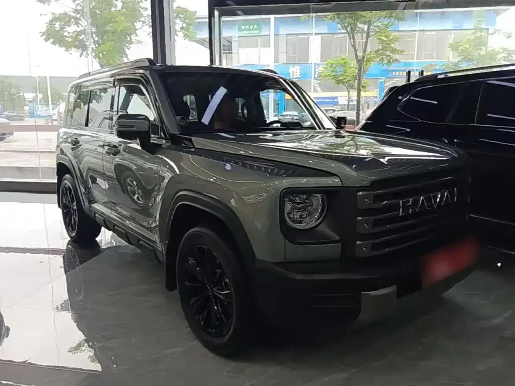 Haval Menglong New Energy 2024 из CN, фото 5
