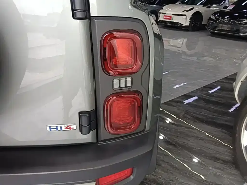 Haval Menglong New Energy 2024 из CN, фото 9