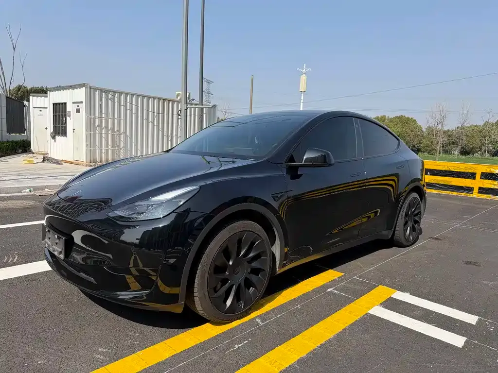 Tesla Model Y — фото 1