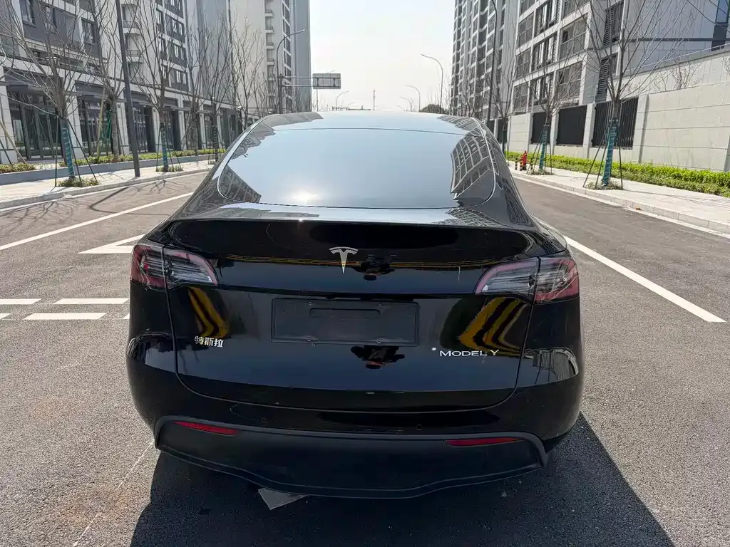 Tesla Model Y — фото 10