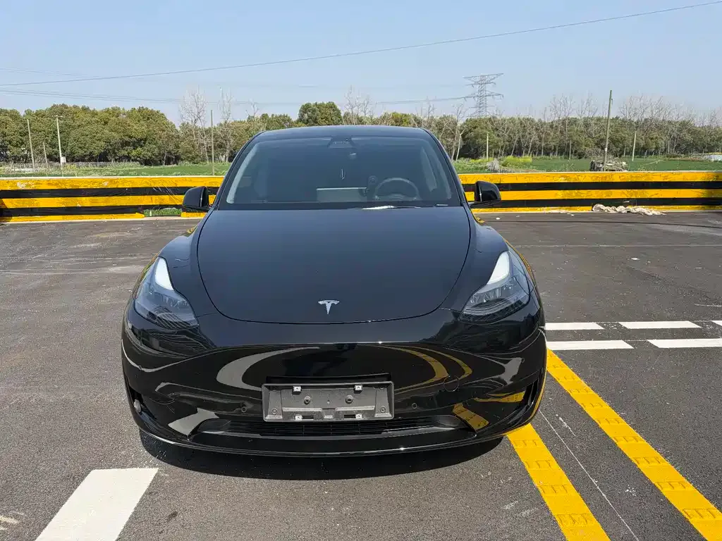 Tesla Model Y — фото 8