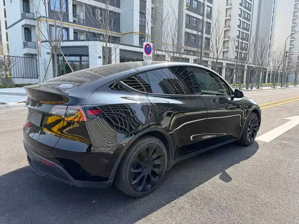 Tesla Model Y — фото 9