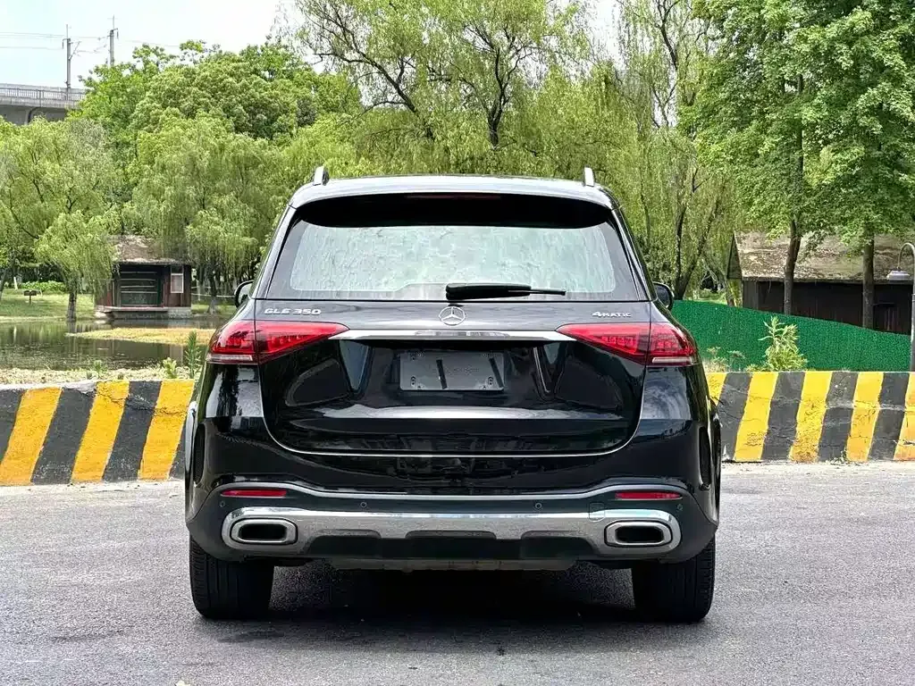 Mercedes-Benz 奔驰GLE(进口) — фото 5