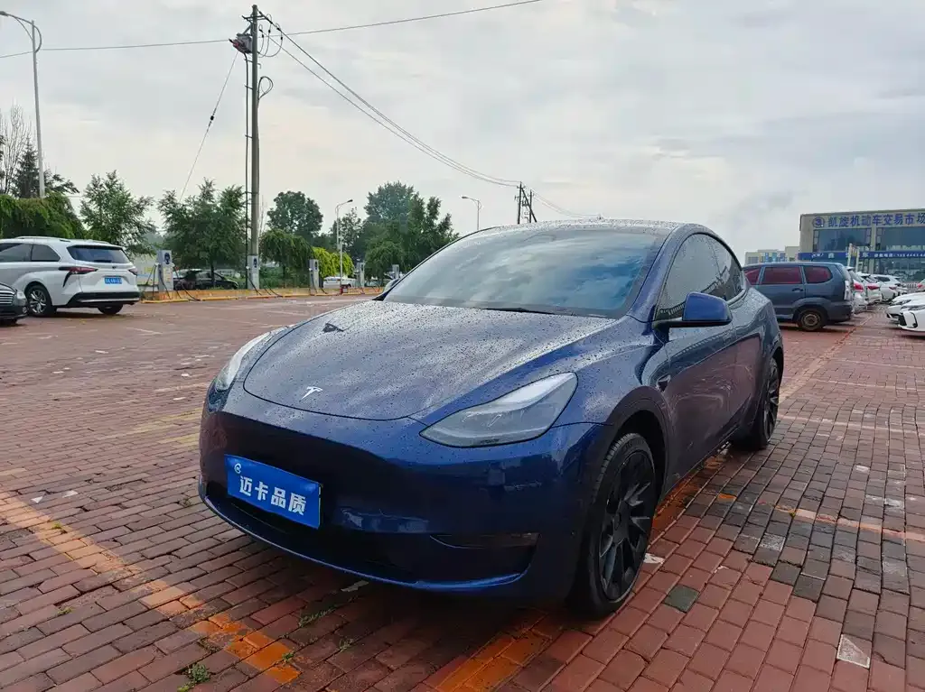 Tesla Model Y — фото 1