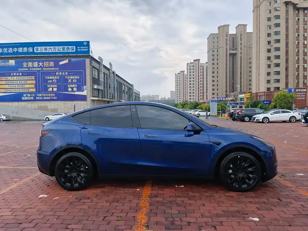 Tesla Model Y — фото 10