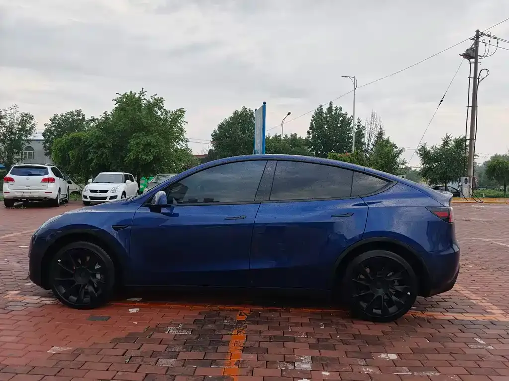 Tesla Model Y — фото 2