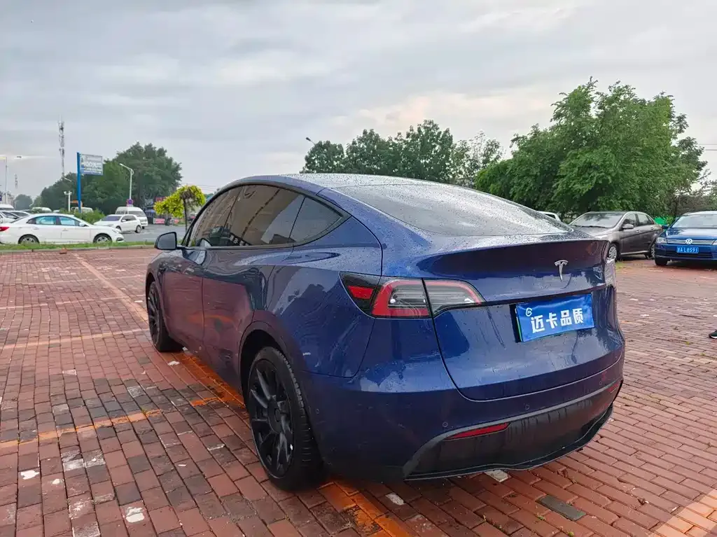 Tesla Model Y — фото 6