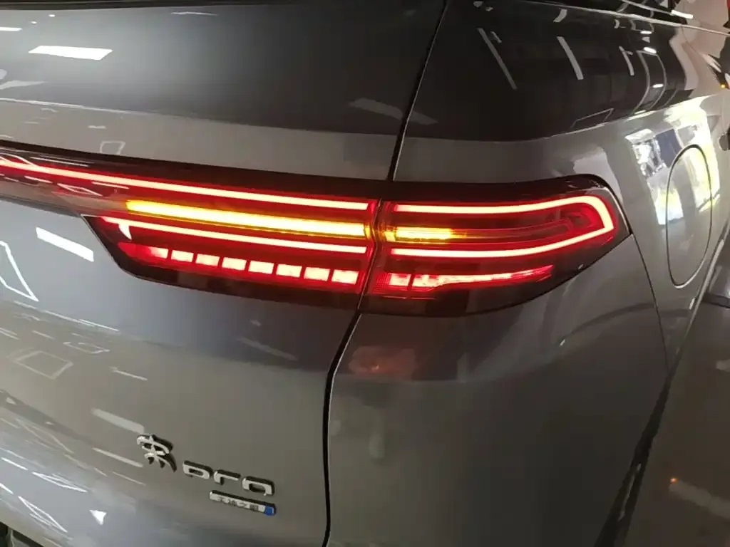 BYD Pro New Energy — фото 4