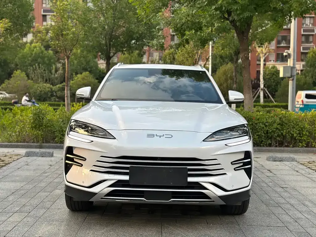 BYD PLUS New Energy — фото 8