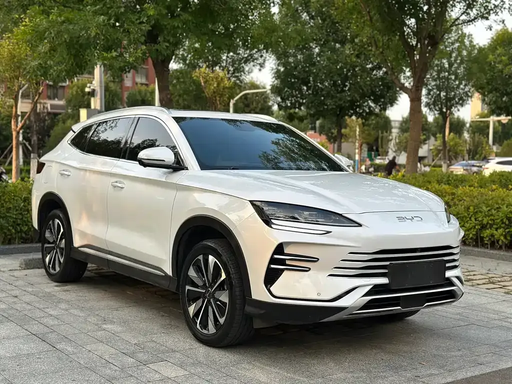 BYD PLUS New Energy — фото 4