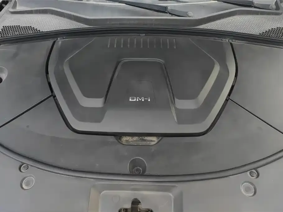 BYD PLUS New Energy — фото 2