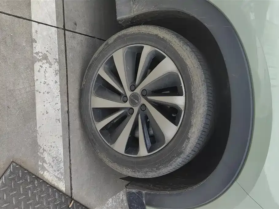 BYD PLUS New Energy — фото 6