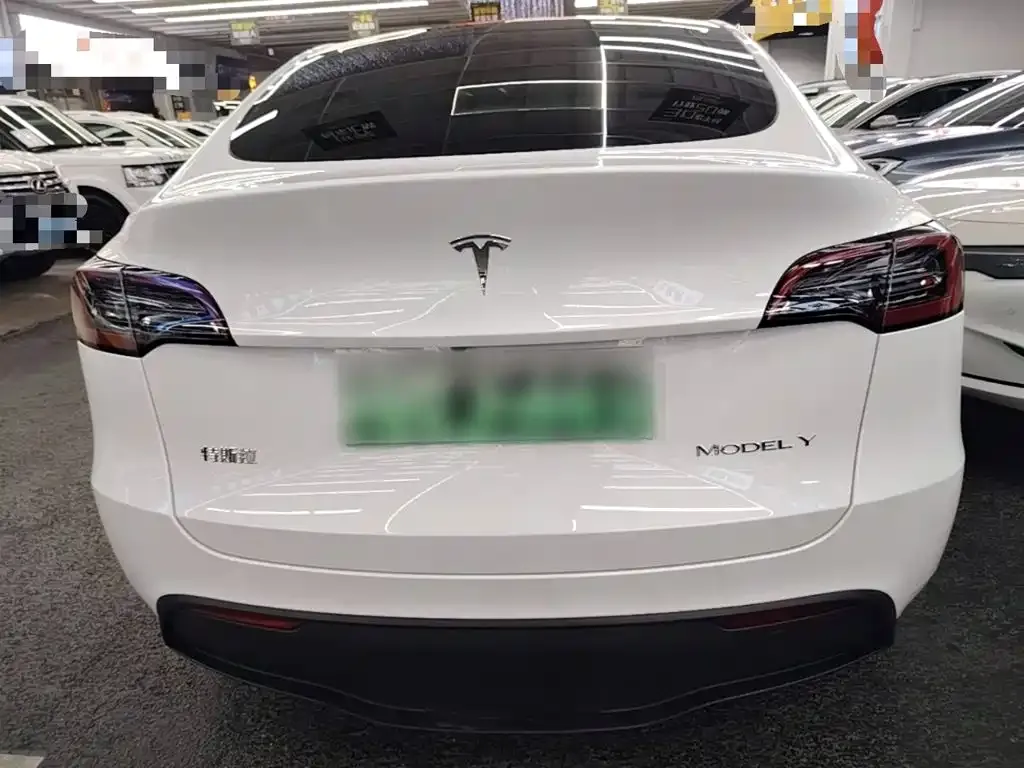 Tesla Model Y — фото 9