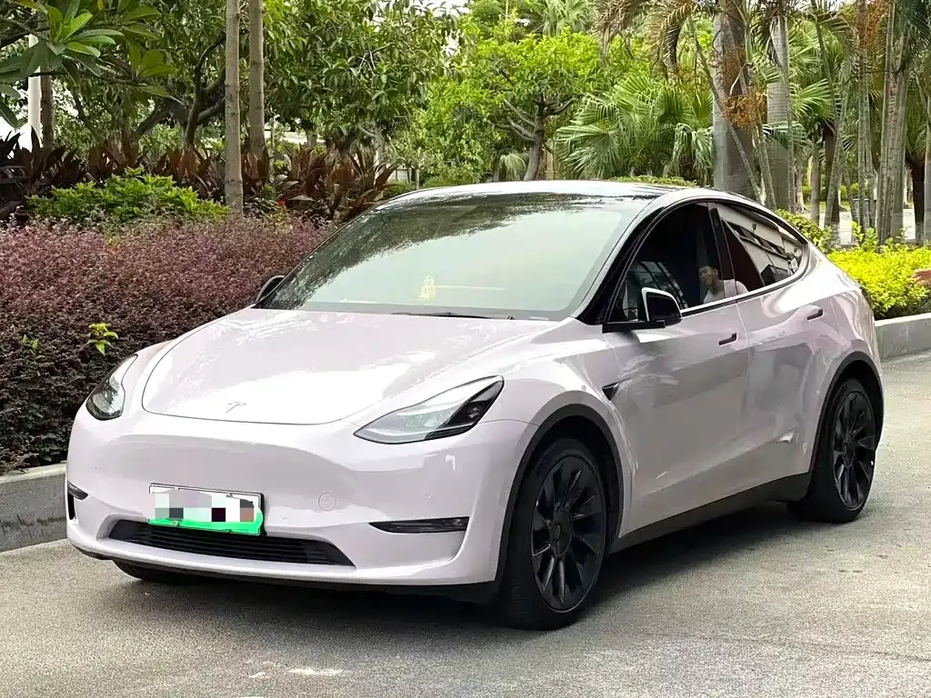 Tesla Model Y — фото 1