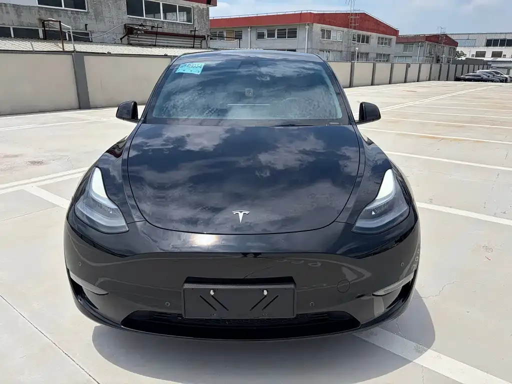 Tesla Model Y — фото 2