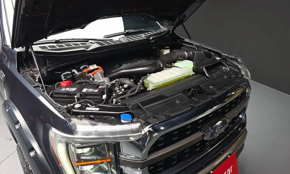 Ford F150 2021 из KR, фото 7