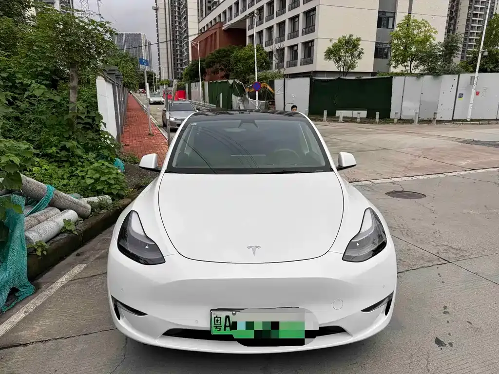 Tesla Model Y — фото 1