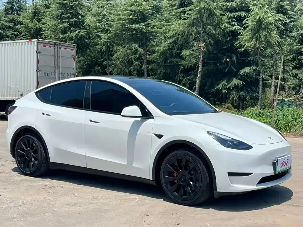 Tesla Model Y — фото 5