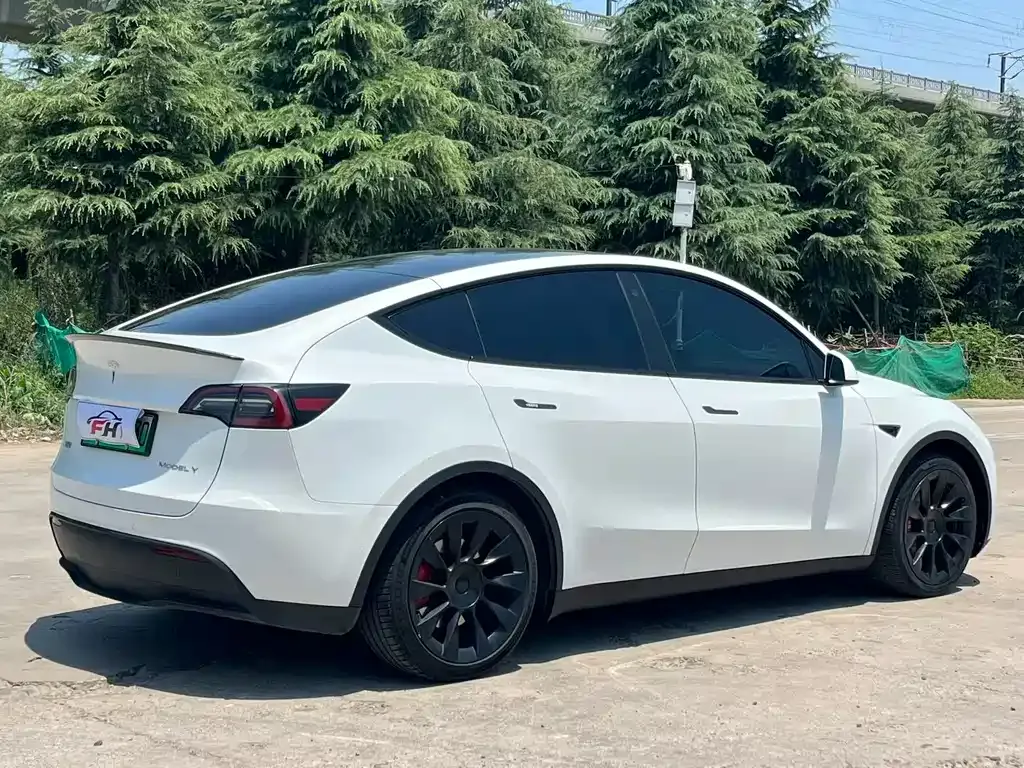 Tesla Model Y — фото 7
