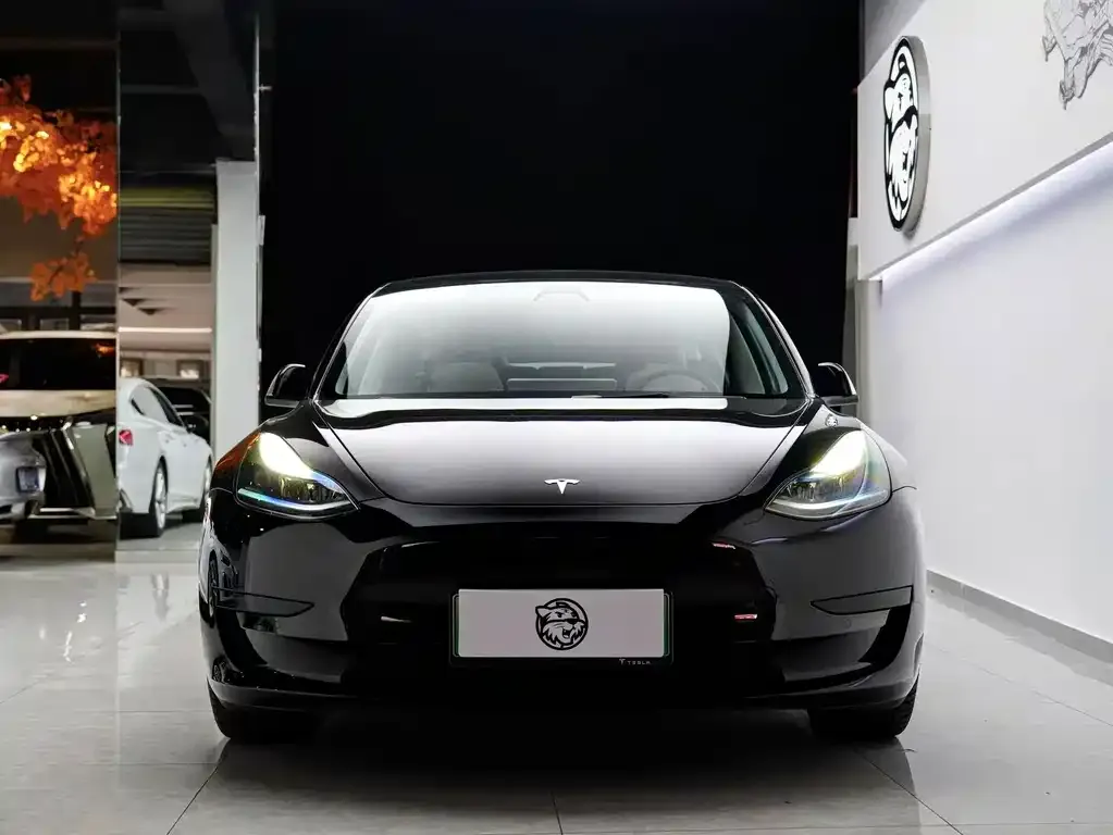 Tesla Model 3 — фото 2