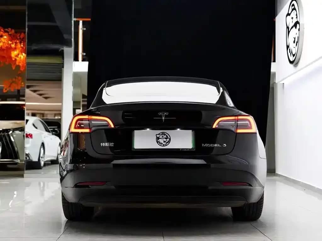 Tesla Model 3 — фото 7