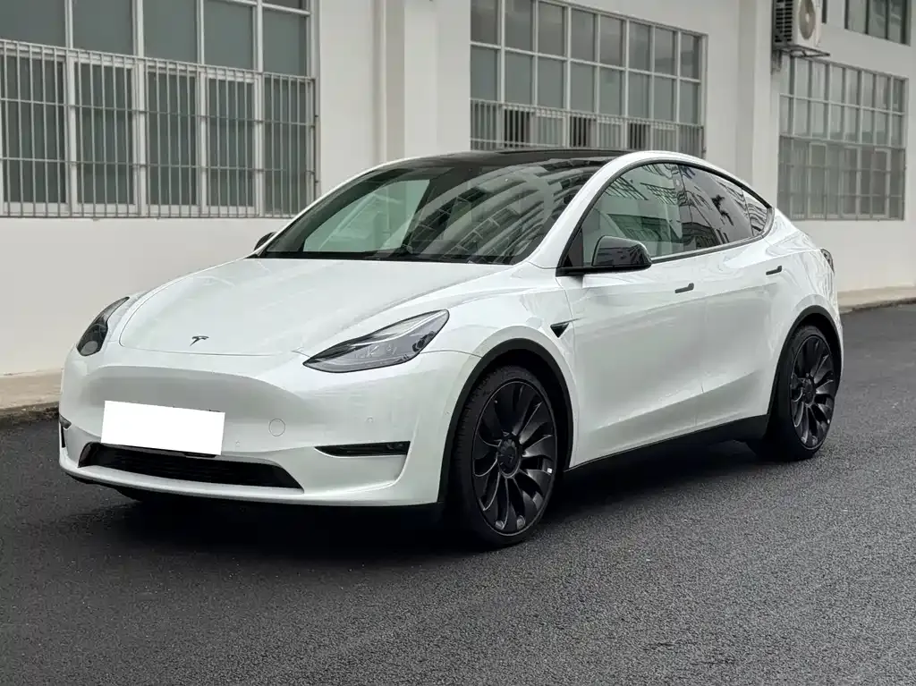 Tesla Model Y — фото 1
