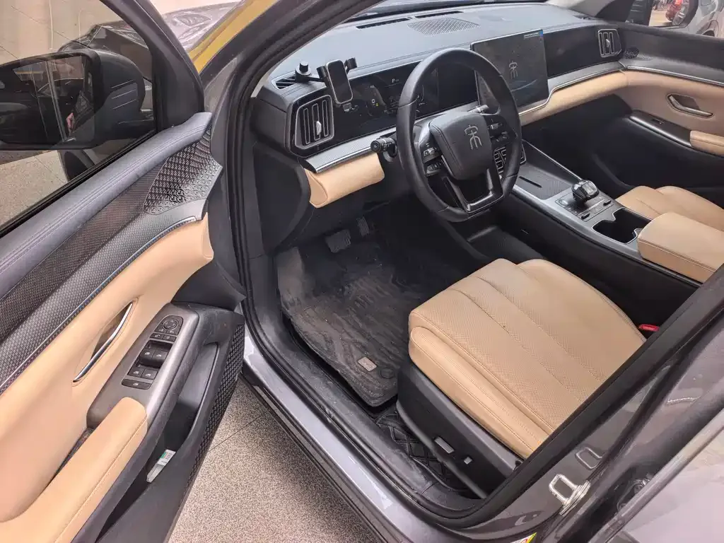 BYD Pro New Energy 2024 из CN, фото 3