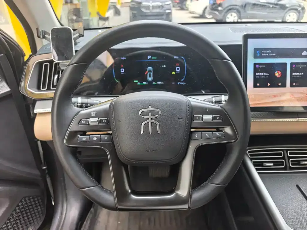 BYD Pro New Energy 2024 из CN, фото 9