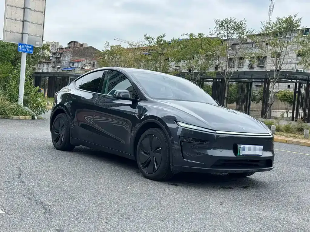 Tesla Model Y — фото 9