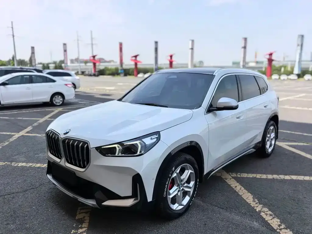 BMW X1 — фото 1