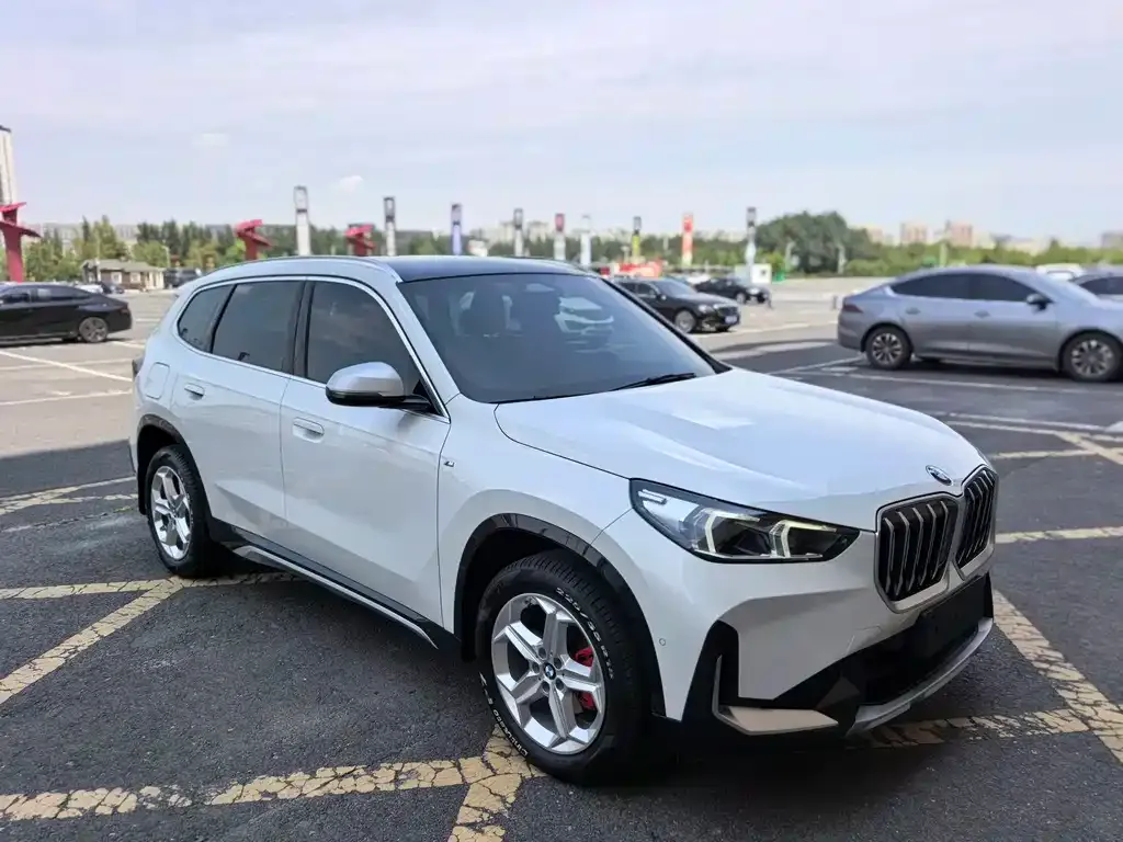 BMW X1 — фото 4