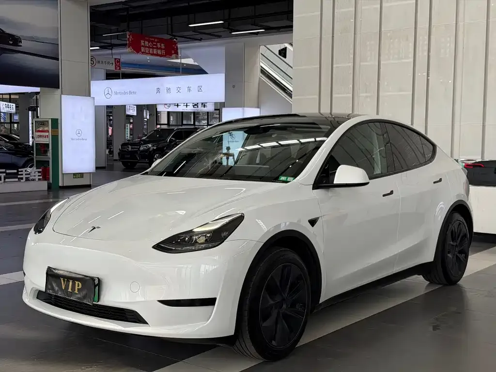 Tesla Model Y — фото 1