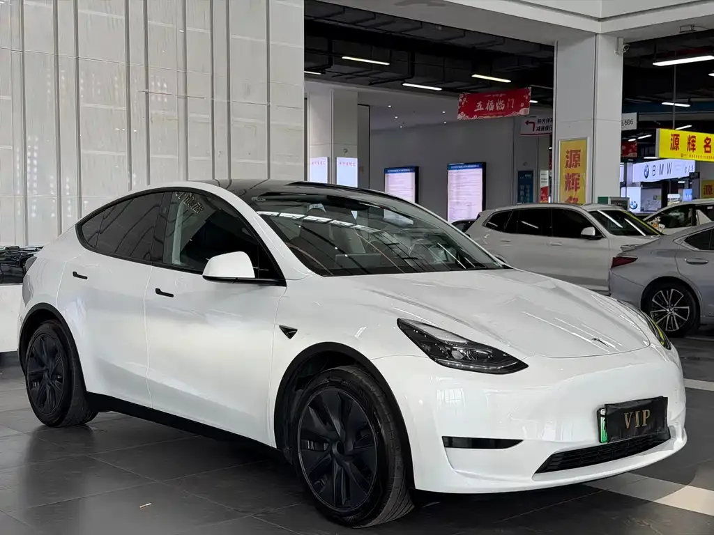 Tesla Model Y — фото 2