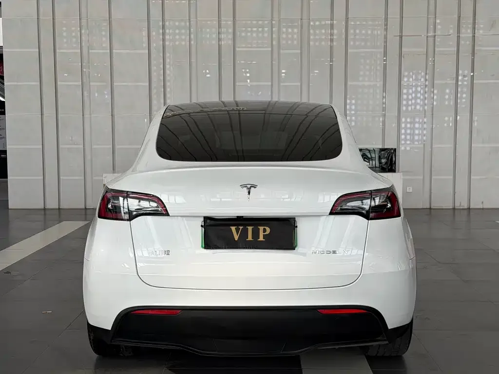 Tesla Model Y — фото 4