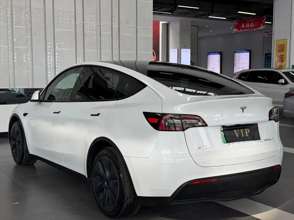Tesla Model Y — фото 3
