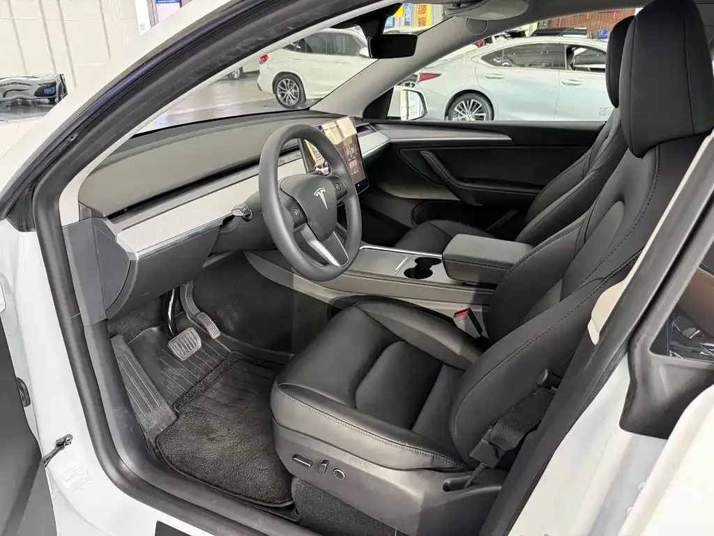 Tesla Model Y — фото 9