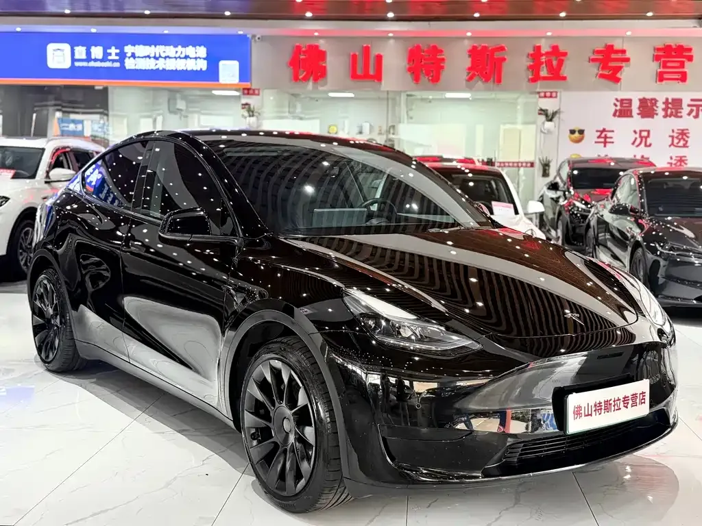 Tesla Model Y — фото 10