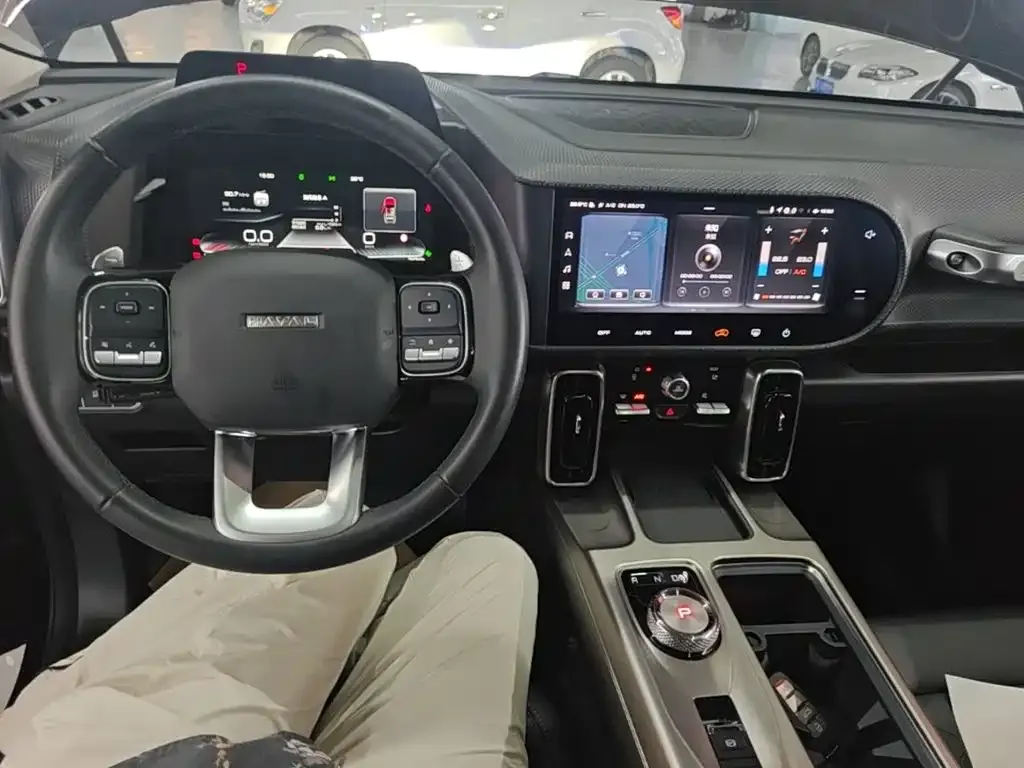 Haval Big Dog 2024 из CN, фото 10