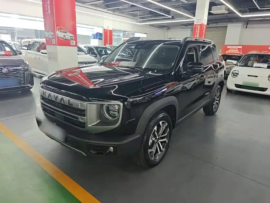 Haval Big Dog 2024 из CN, фото 6