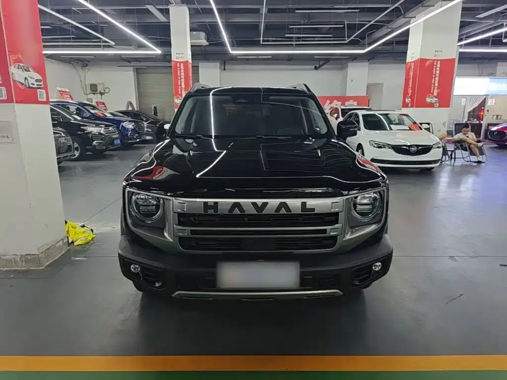 Haval Big Dog 2024 из CN, фото 9