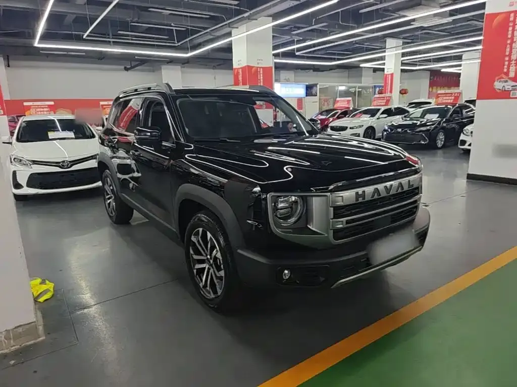 Haval Big Dog 2024 из CN, фото 7