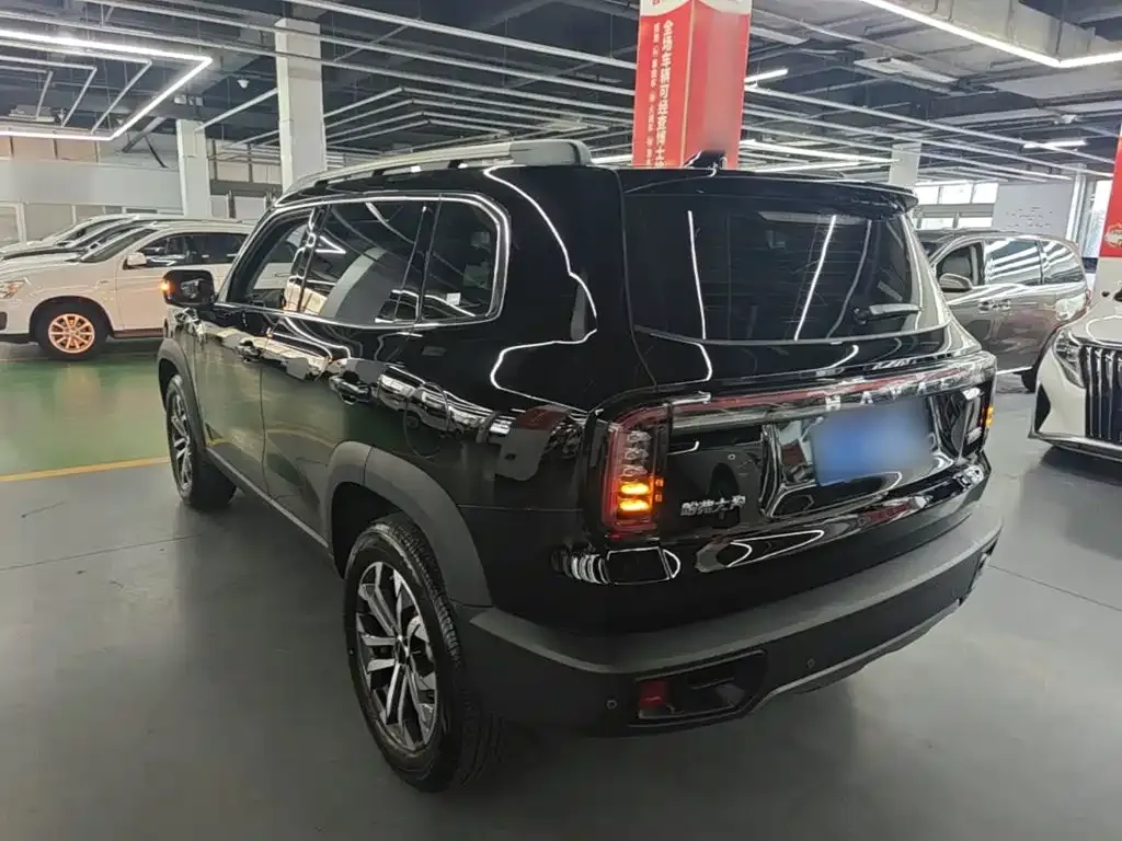 Haval Big Dog 2024 из CN, фото 5