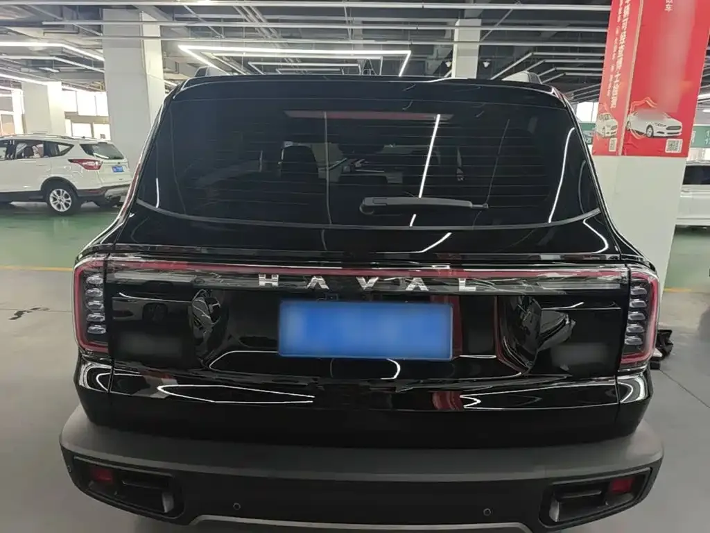 Haval Big Dog 2024 из CN, фото 8