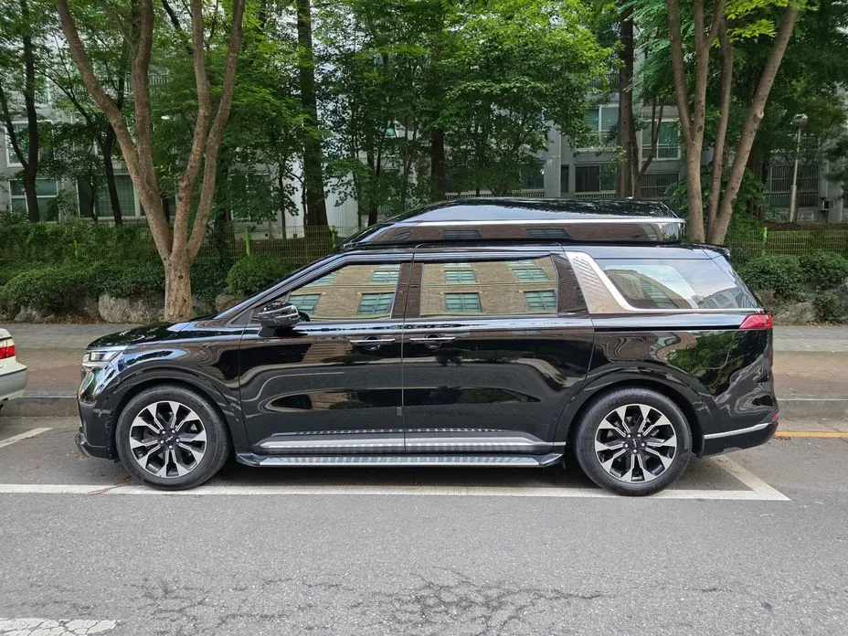 Kia Carnival — фото 10