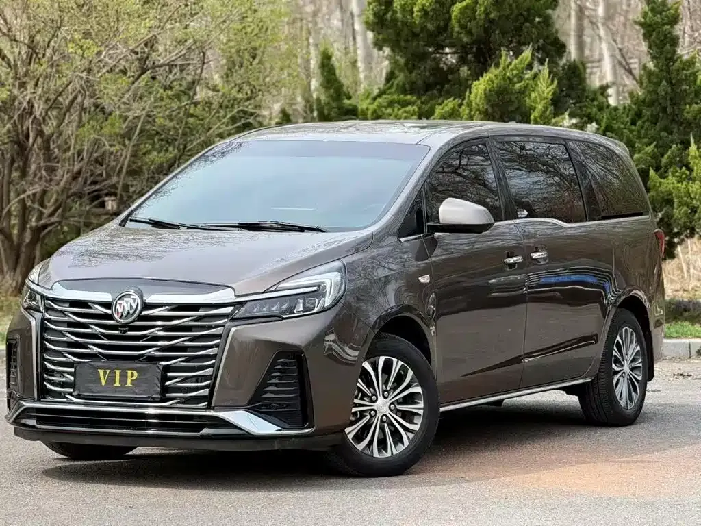 Buick GL8 2024 из CN, фото 6