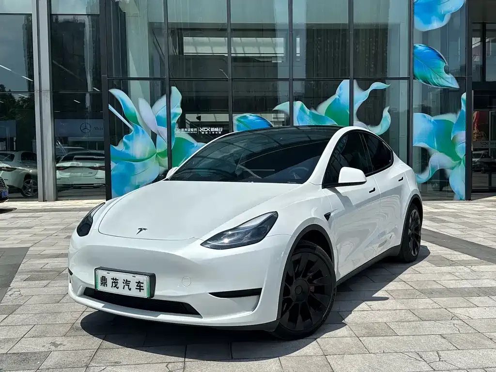 Tesla Model Y — фото 1