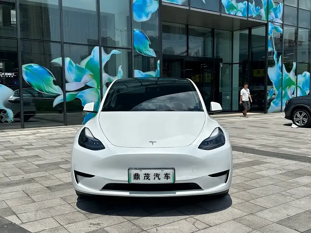 Tesla Model Y — фото 3